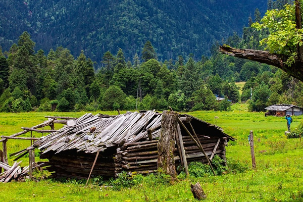 拉薩-林芝-南伊溝-大峽谷-篝火-羊湖-40冰川6晚8日