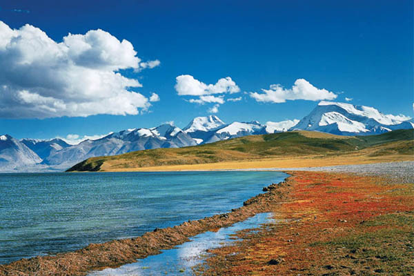 阿里大北線+納木錯+拉薩 14天13晚