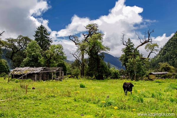 自助行西藏有哪些攻略