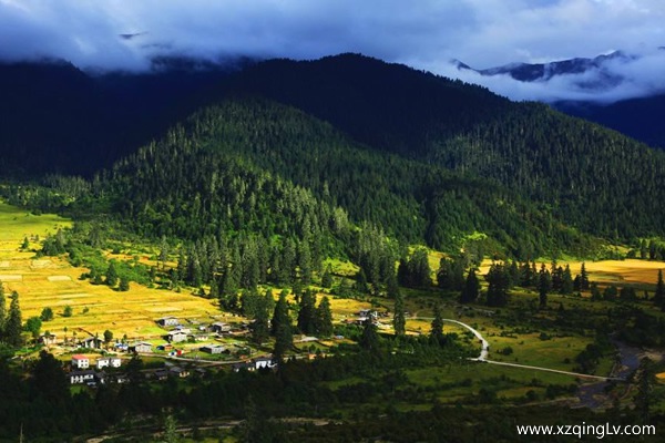 一個人去西藏大概多少錢