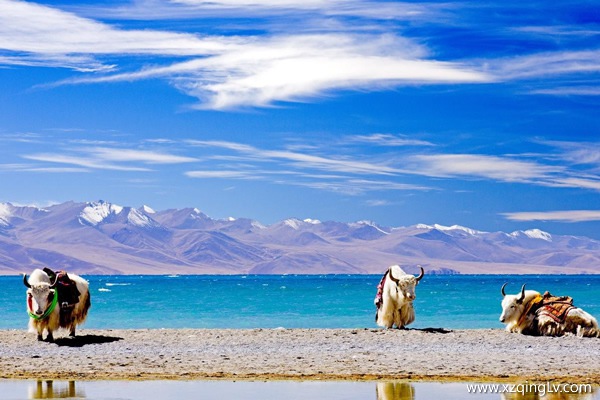 西藏旅游花費(fèi)多少