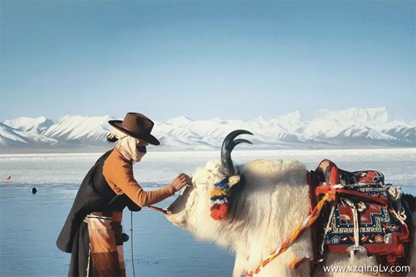 去西藏注意什么事情