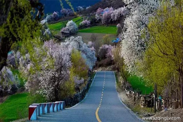 西藏包車旅游注意什么