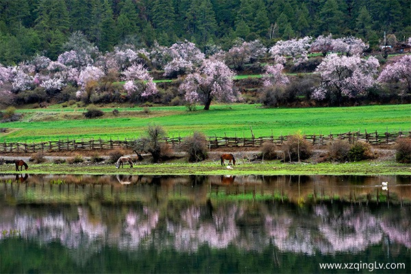 西藏幾月去最好