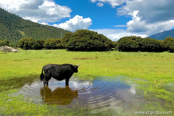 西藏旅游幾月好