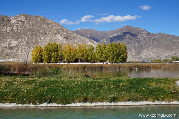 幾月去西藏旅游