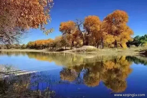 幾月去西藏旅游