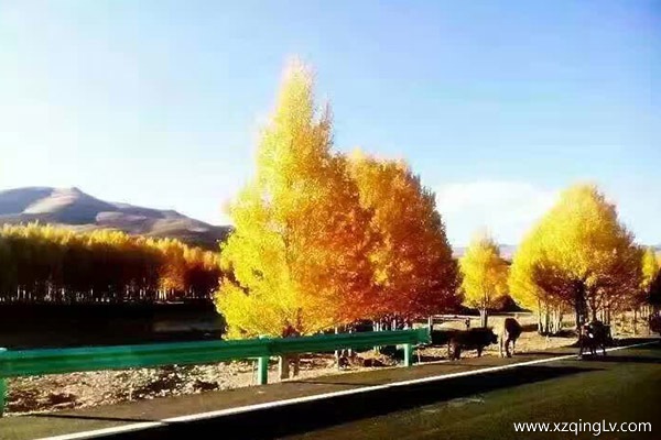 西藏的旅游景點(diǎn)