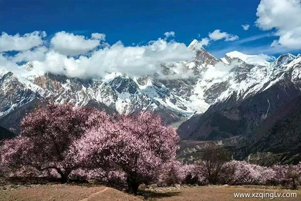 西藏旅游最好的月份