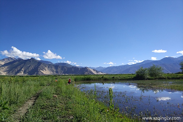 去西藏旅游帶什么