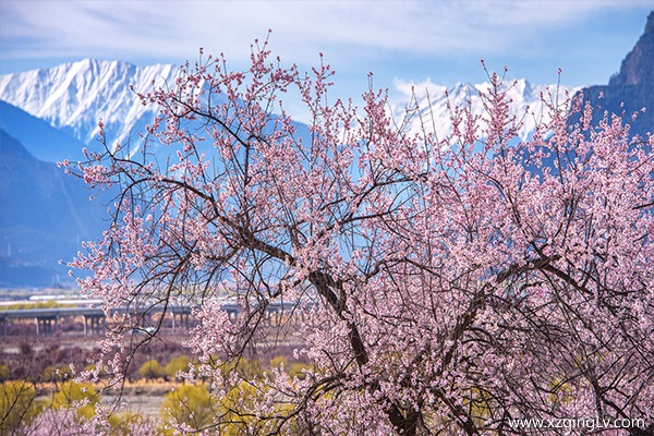 拉薩旅游幾月去好