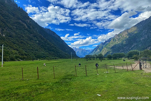 林芝三日游費用