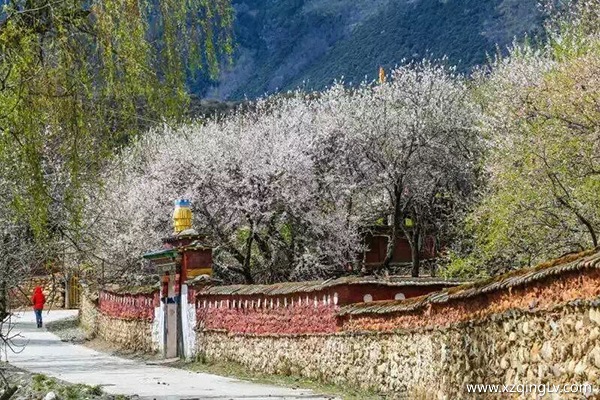 去林芝旅游怎么樣