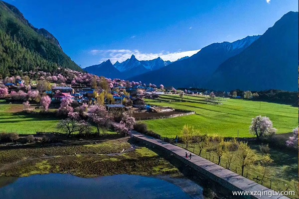 林芝桃花旅游攻略
