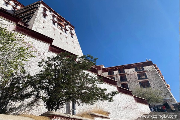 西藏神馬旅行社如何