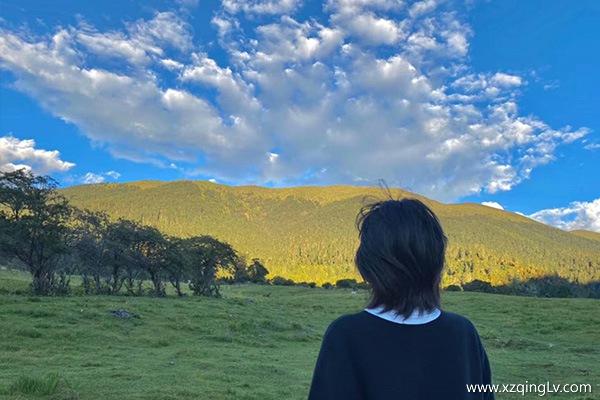 西藏新遠程旅行社怎么樣