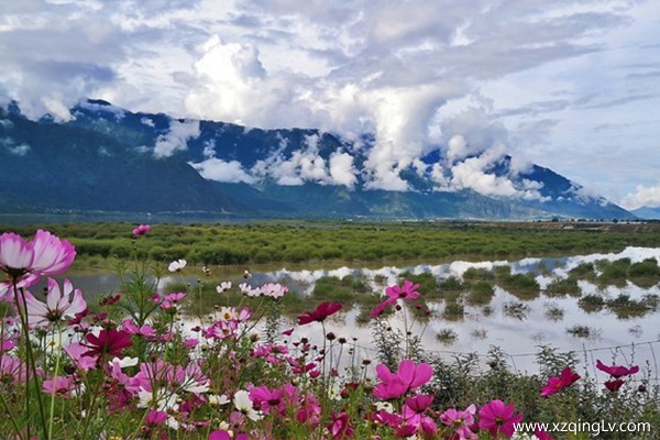 幾月去林芝旅游好