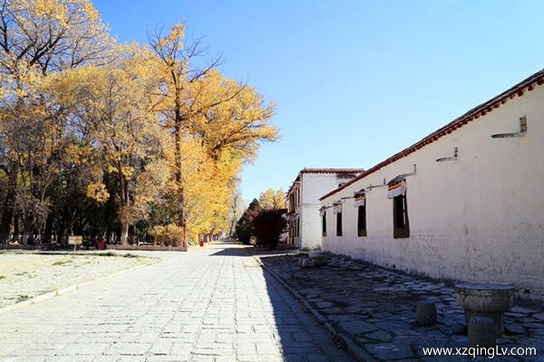 西藏跟團(tuán)游多少錢