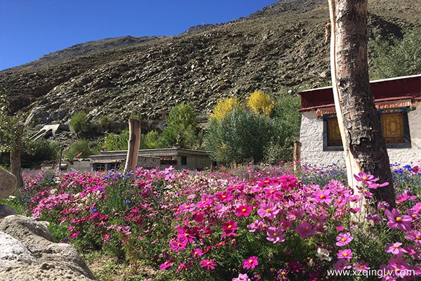 五月份去西藏帶什么