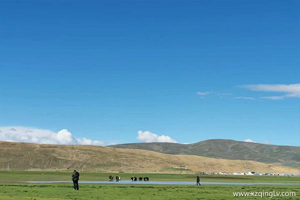 幾月份進藏旅游更合適