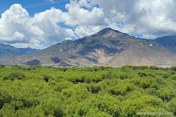 拉薩旅游景點有哪些