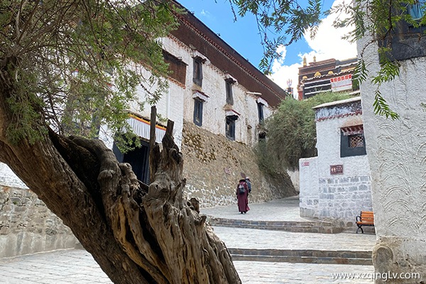 去西藏要注意什么