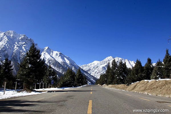 怎么去西藏旅游