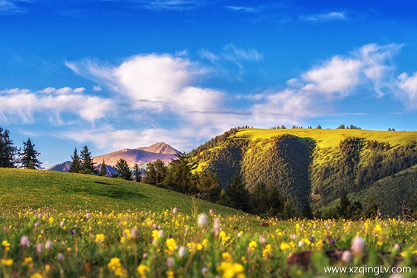 怎么游玩西藏比較好