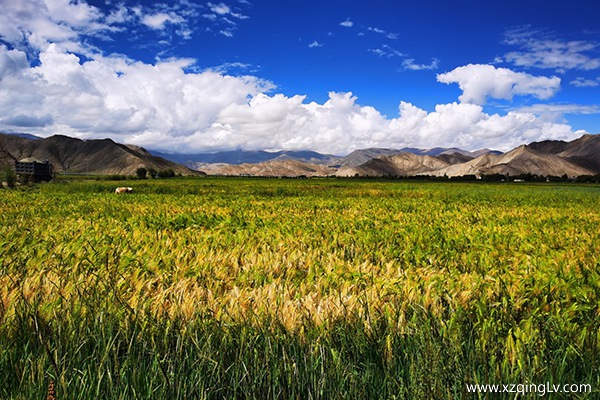 去西藏旅游幾月份比較好