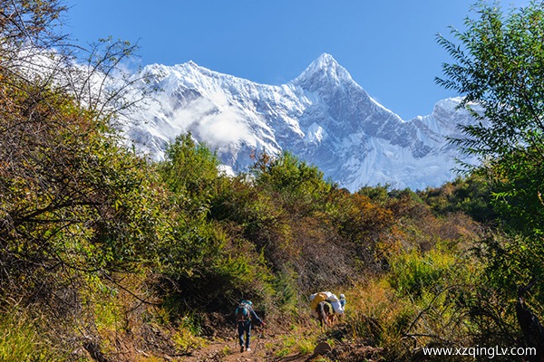 去林芝旅游最佳時間