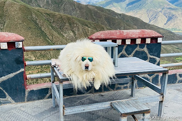 幾月份去西藏旅游好