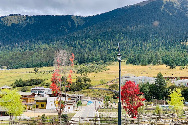 拉薩去林芝游玩要多少錢