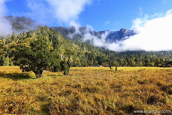 林芝旅游景點推薦