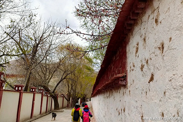 三月份去西藏合適嗎