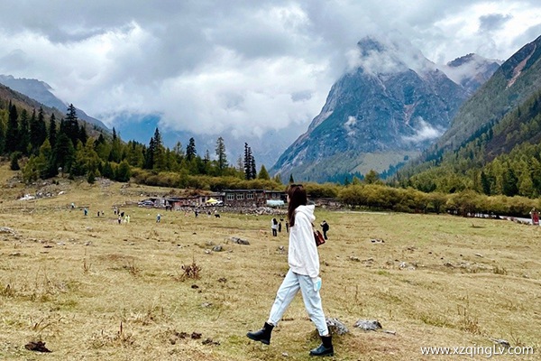 去西藏旅游服用紅景天有用嗎