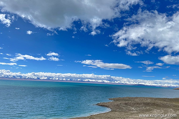 報團去西藏要多少錢