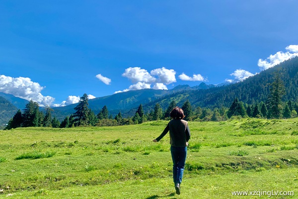 去西藏跟團游還是自由行？