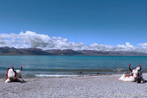 去西藏旅游大概要多少錢