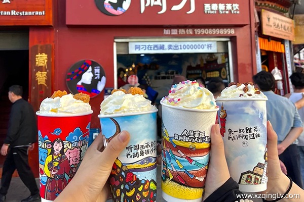 江西萍鄉去西藏路線怎么安排