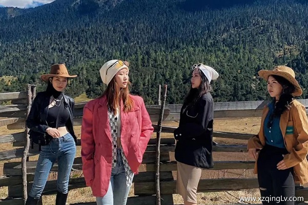 湖南永州去西藏旅游需要多少錢