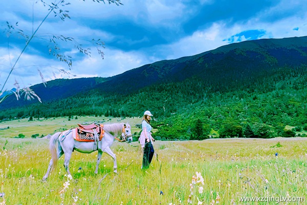 一家人跟團(tuán)旅游西藏多少錢