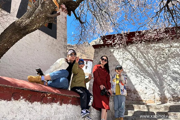 西藏報團旅游大約多少錢