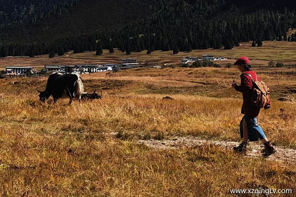 幾月去西藏旅游好
