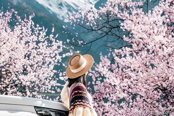 西藏林芝什么季節最美