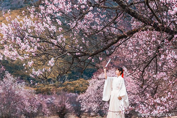 三月林芝怎么樣