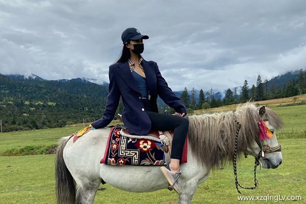 帶家人去西藏游玩六天要多少錢