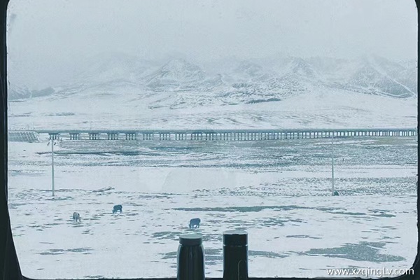 去拉薩的最美火車路線