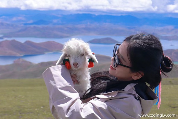 杭州去西藏旅游跟團多少錢