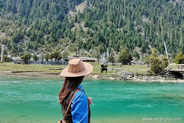 杭州去西藏旅游跟團多少錢