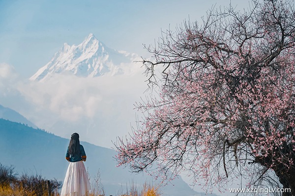 3月去林芝看桃花穿什么衣服